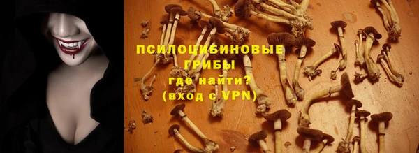 МДПВ Абдулино