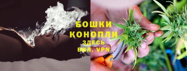 индика Покров