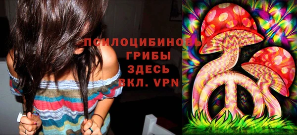 спайс Абаза