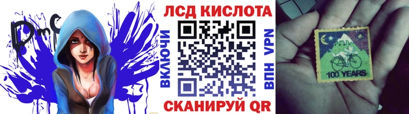 Марки N-bome 1500мкг  Болотное 
