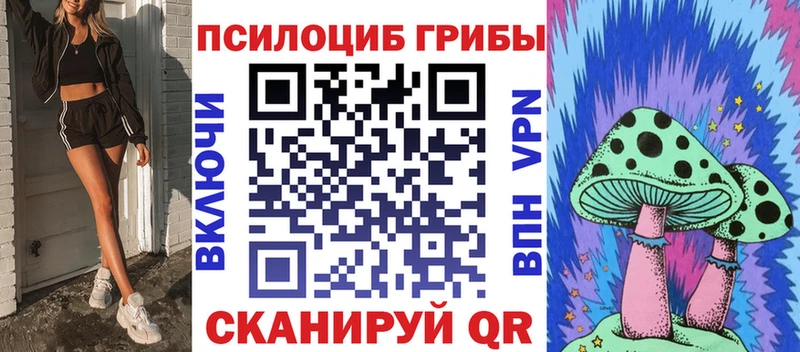 Галлюциногенные грибы прущие грибы  купить  цена  Болотное 